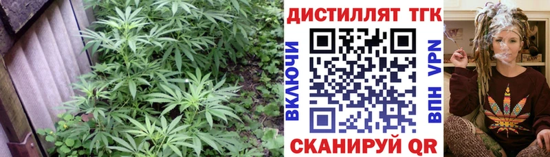 цена   Кстово  Дистиллят ТГК жижа 